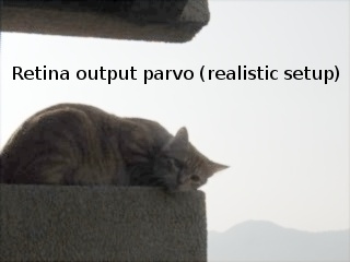 the retina foveal model applied on the entire image with 'naturalness' parameters. Here contours are enforced but halo effects are avoided with this configuration, horizontalCellsGain is 0.3 and photoreceptorsLocalAdaptationSensitivity=ganglioncellsSensitivity=0.89.